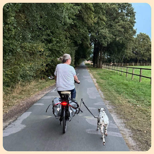 Der Hund l&auml;uft jetzt sicher am Fahrrad 
